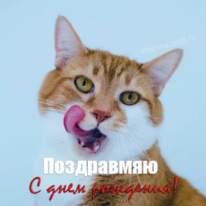Скачать-бесплатно-открытку-поздравмяю-с-днем-рождения-на-сайте-wishescards.ru