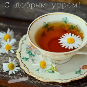 Открытка С добрым утром приятного чаепития скачать бесплатно на сайте wishescards.ru