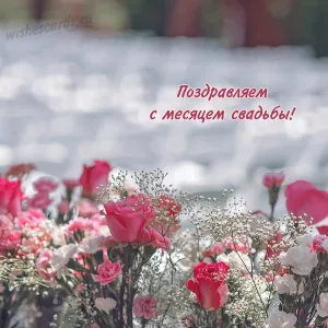 Открытка поздравляем с месяцем свадьбы скачать бесплатно на сайте wishescards.ru