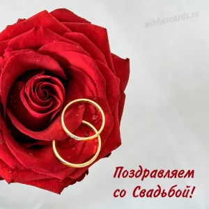 Открытка поздравляем со свадьбой скачать бесплатно на сайте wishescards.ru
