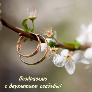 Открытка поздравляю с двухлетием свадьбы скачать бесплатно на сайте WishesCards.ru