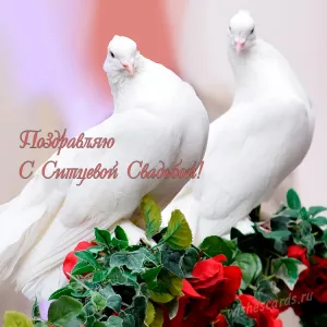 Открытка поздравляю с ситцевой свадьбой скачать бесплатно на сайте WishesCards.ru