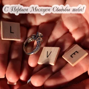 Открытка с первым месяцем свадьбы тебя скачать бесплатно на сайте wishescards.ru