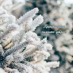 Открытка с прекрасным зимним утром тебя скачать бесплатно на сайте wishescards.ru