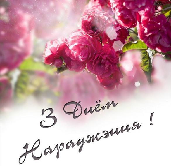 Скачать бесплатно Белорусская открытка с днем рождения на сайте WishesCards.ru