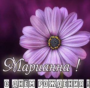 Скачать бесплатно Бесплатная электронная картинка с днем рождения Марианна на сайте WishesCards.ru