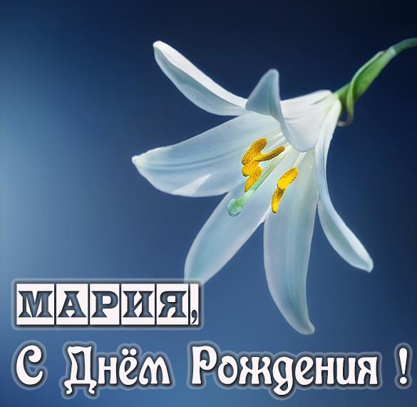 Скачать бесплатно Бесплатная электронная картинка с днем рождения Мария на сайте WishesCards.ru