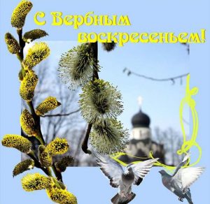 Скачать бесплатно Бесплатная электронная открытка на Вербное Воскресенье на сайте WishesCards.ru