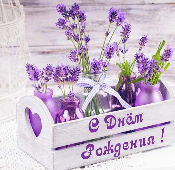 Скачать бесплатно Бесплатная электронная открытка с днем рождения женщине на сайте WishesCards.ru