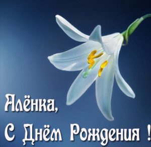 Скачать бесплатно Бесплатная картинка с днем рождения Аленка на сайте WishesCards.ru