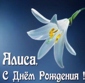 Скачать бесплатно Бесплатная картинка с днем рождения Алиса на сайте WishesCards.ru