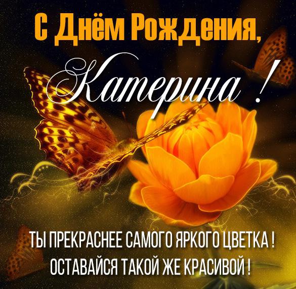 Скачать бесплатно Бесплатная картинка с днем рождения Катерина на сайте WishesCards.ru