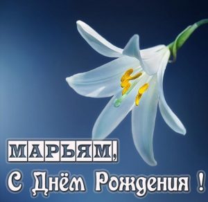 Скачать бесплатно Бесплатная картинка с днем рождения Марьям на сайте WishesCards.ru