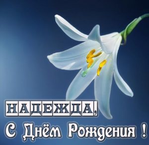 Скачать бесплатно Бесплатная картинка с днем рождения Надежда на сайте WishesCards.ru