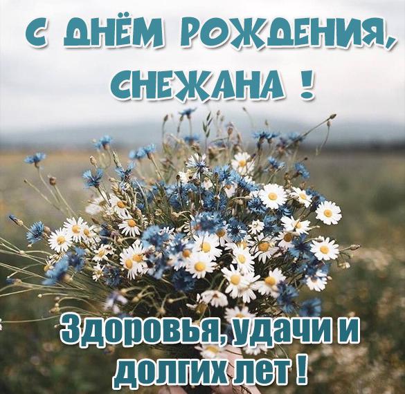 Скачать бесплатно Бесплатная картинка с днем рождения Снежана на сайте WishesCards.ru