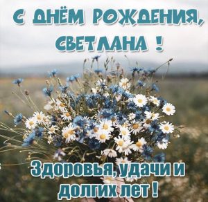 Скачать бесплатно Бесплатная картинка с днем рождения Светлана на сайте WishesCards.ru