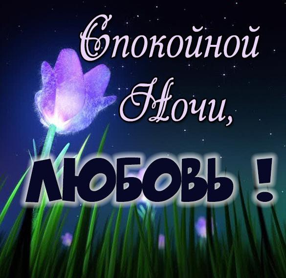 Скачать бесплатно Бесплатная картинка спокойной ночи Любовь на сайте WishesCards.ru