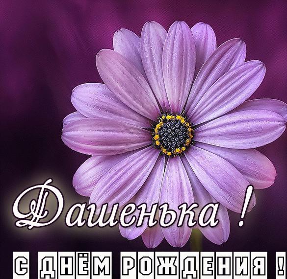 Скачать бесплатно Бесплатная красивая картинка с днем рождения Дашенька на сайте WishesCards.ru