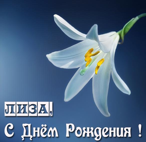 Скачать бесплатно Бесплатная красивая картинка с днем рождения Лиза на сайте WishesCards.ru