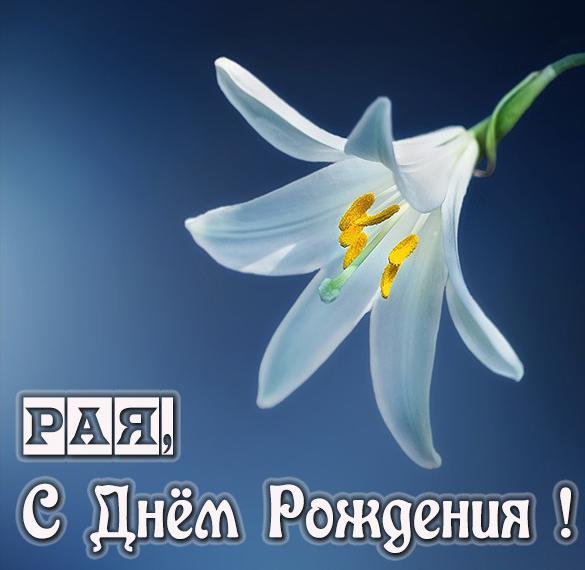 Скачать бесплатно Бесплатная красивая картинка с днем рождения Рая на сайте WishesCards.ru