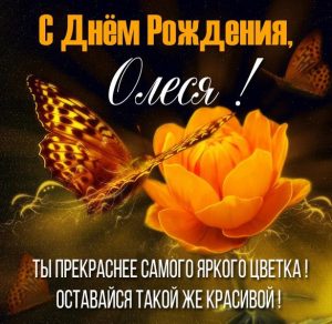Скачать бесплатно Красивая открытка с днем рождения для Олеси на сайте WishesCards.ru
