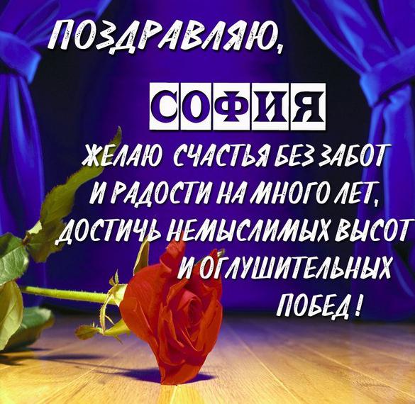 Скачать бесплатно Бесплатная открытка для Софии на сайте WishesCards.ru