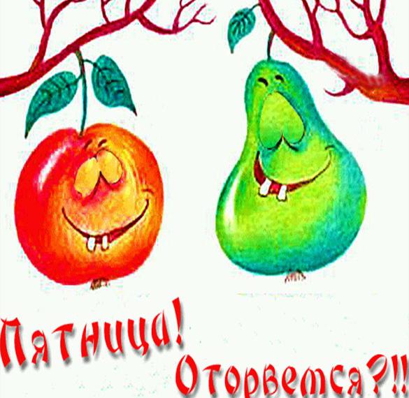 Скачать бесплатно Бесплатная открытка друзьям на пятницу с юмором на сайте WishesCards.ru