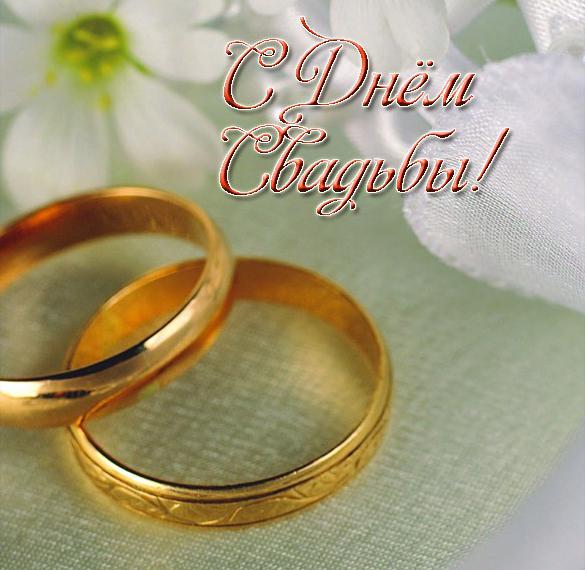 Скачать бесплатно Бесплатная открытка ко дню свадьбы на сайте WishesCards.ru
