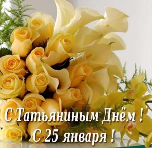 Скачать бесплатно Бесплатная открытка на Татьянин день на сайте WishesCards.ru