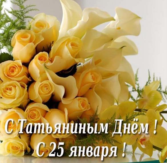 Скачать бесплатно Бесплатная открытка на Татьянин день на сайте WishesCards.ru