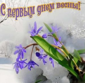 Скачать бесплатно Бесплатная открытка с 1 марта на сайте WishesCards.ru