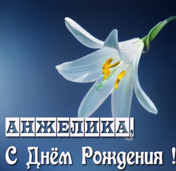 Скачать бесплатно Бесплатная открытка с днем рождения Анжелика на сайте WishesCards.ru