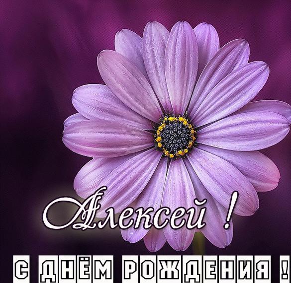 Скачать бесплатно Бесплатная открытка с днем рождения для Алексея на сайте WishesCards.ru
