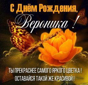 Скачать бесплатно Бесплатная открытка с днем рождения для Вероники на сайте WishesCards.ru