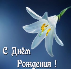 Скачать бесплатно Бесплатная открытка с днем рождения с цветами на сайте WishesCards.ru