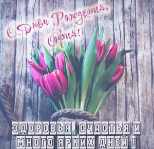 Скачать бесплатно Бесплатная открытка с днем рождения София на сайте WishesCards.ru