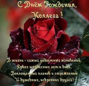 Скачать бесплатно Бесплатная открытка с днем рождения женщине коллеге на сайте WishesCards.ru