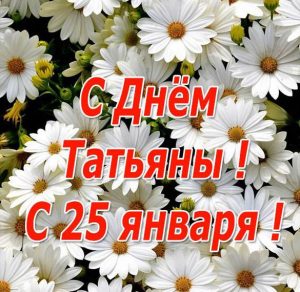 Скачать бесплатно Бесплатная открытка с днем Татьяны 25 января на сайте WishesCards.ru