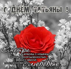 Скачать бесплатно Бесплатная открытка с днем Татьяны с пожеланиями на сайте WishesCards.ru