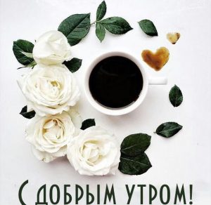 Скачать бесплатно Бесплатная открытка с добрым утром на сайте WishesCards.ru
