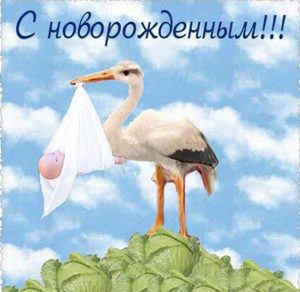 Скачать бесплатно Бесплатная открытка с новорожденным мальчиком на сайте WishesCards.ru