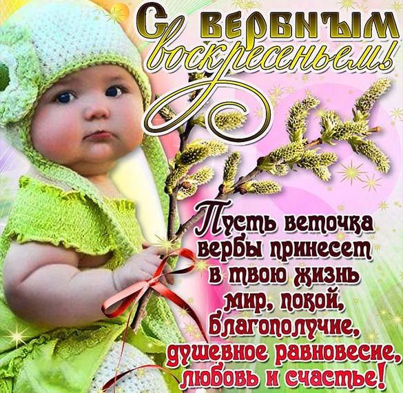 Скачать бесплатно Бесплатная открытка с поздравлением с Вербным Воскресеньем на сайте WishesCards.ru