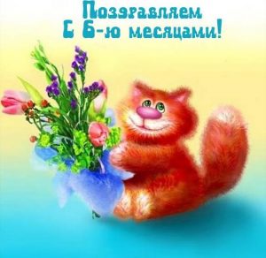 Скачать бесплатно Бесплатная открытка с шестью месяцами мальчику на сайте WishesCards.ru