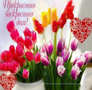 Скачать бесплатно Бесплатная открытка с воскресным днем на сайте WishesCards.ru