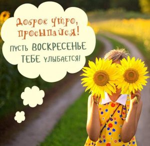 Скачать бесплатно Бесплатная открытка с воскресным утром на сайте WishesCards.ru