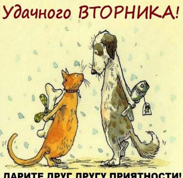 Скачать бесплатно Бесплатная открытка удачного вторника на сайте WishesCards.ru