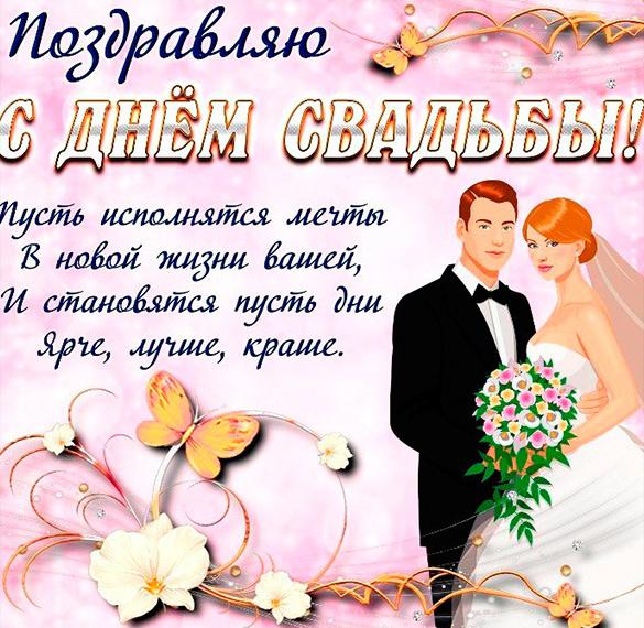 Скачать бесплатно Бесплатная поздравительная картинкас днем свадьбы на сайте WishesCards.ru