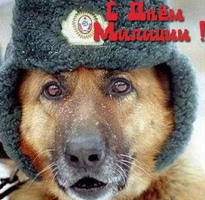 Скачать бесплатно Бесплатная прикольная открытка с днем милиции на сайте WishesCards.ru