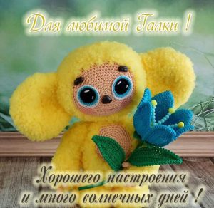 Скачать бесплатно Детская картинка с именем Галка на сайте WishesCards.ru