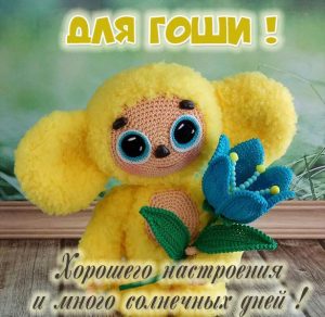 Скачать бесплатно Детская картинка с именем Гоша на сайте WishesCards.ru